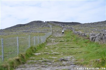 DSC_0803