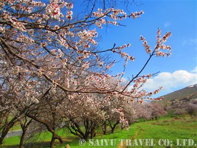 IMG_1090_NakamuraEtsuko