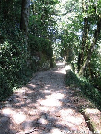 Castelo dos Mouros (13)