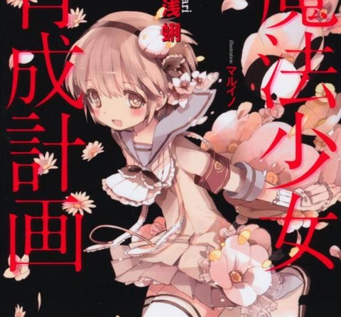魔法少女育成計画