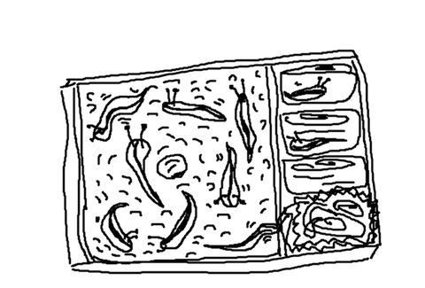 BlogPaint