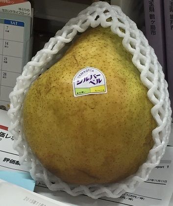 ブログ画像⑧