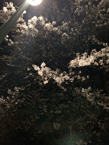 ブログ画像3