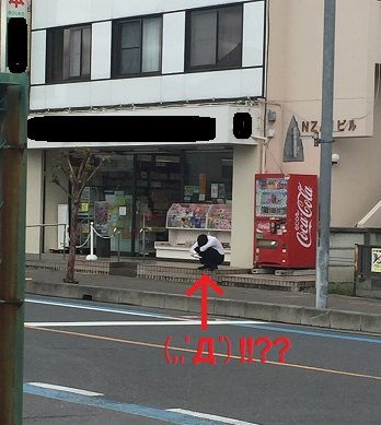 ブログ画像3