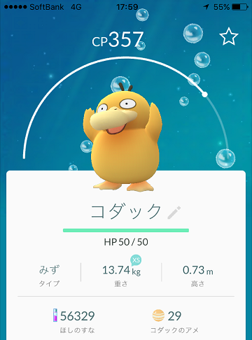 ブログ画像11