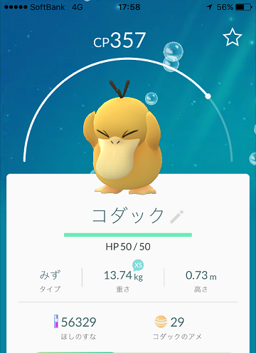 ブログ画像10
