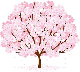 桜