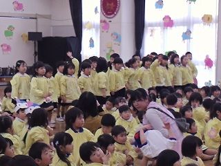 GEDV2527
