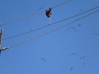 P1080057