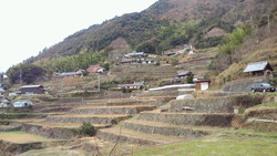 NEC_0574
