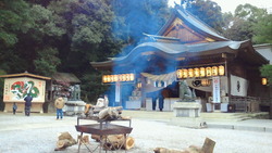 NEC_0549