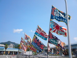 DSC04556