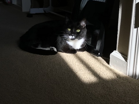 24135C64-FDA5-49BD-B6E8-DD18A3E66A3C