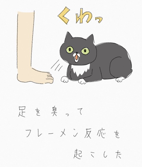 D9A6AA5B-7ABE-4E81-8982-10461A4B43F7