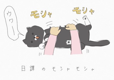 5A503482-BAA1-4801-8A02-B80AF59C1DE1