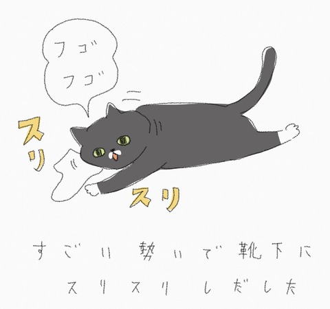 80F6F75B-5596-4691-9B46-7B6351133F77