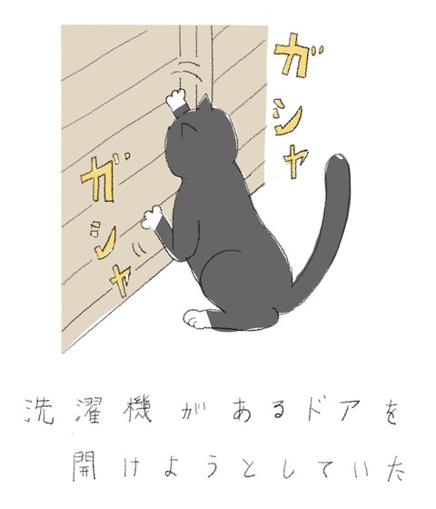 281305E1-7BD1-4EB9-964E-352E17F840FC