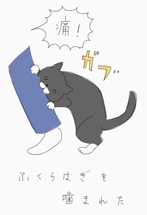 864DBA80-7963-47AE-B657-3C33B5D36B83