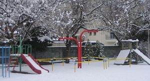 雪の日の園庭
