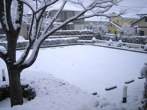 どうしちゃったんでしょう、この雪・・・2