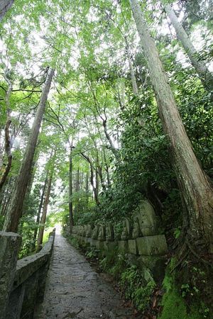 雨降りの小径