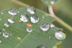 水滴3