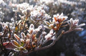 3月に入ったというのに・・・・。