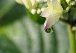 水滴は難しい