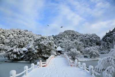 白水阿弥陀堂の雪景色1