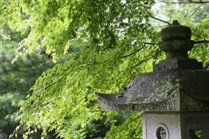紅葉の時期はもっと綺麗でしょう
