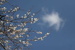 青い空2
