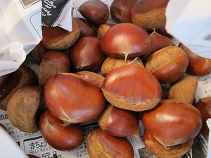 いただいた秋の味覚