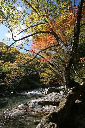 中津川渓谷