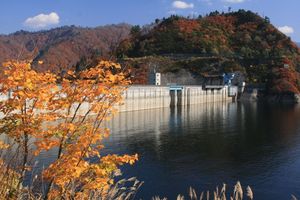 もうちょっと大きいのかと思ってました
