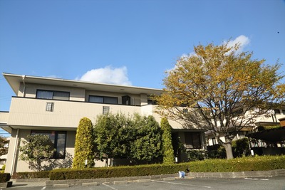 PLフィルター2