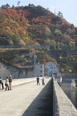 それでも巨大なのは間違いなし