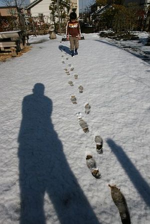 雪面への足跡