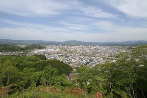 高台からいわき市の市街地を望む