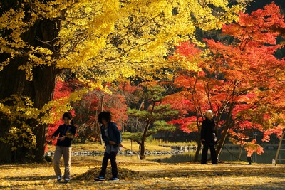 紅葉ラスト3