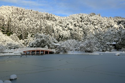 白水阿弥陀堂の雪景色2