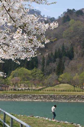 桜の公園の母子