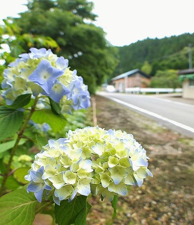 K君と田人・貝泊を訪ね行く5