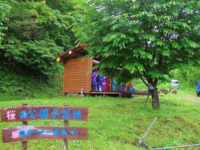 貝泊コイコイ倶楽部主催の田植え体験①