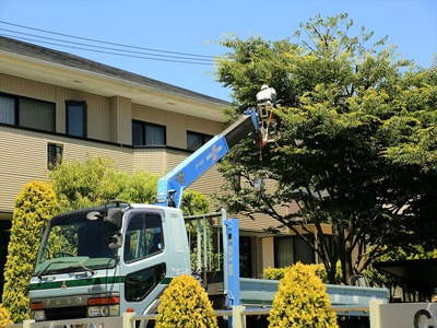 植木屋さんのお仕事3