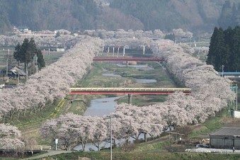 ホントに1000本有りそう