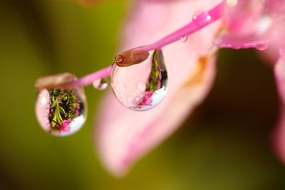 雨上がり3