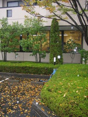 この時期、落ち葉との格闘が始まります。(^^)