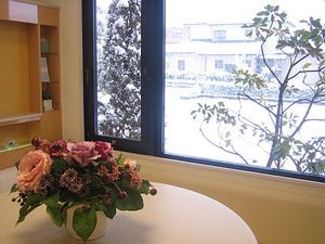 降りしきる雪を待合室から・・・