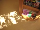 秋の日差し