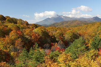 「あぁ、会津磐梯山は宝の山♪」でしたっけ